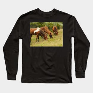 Assateague Ponies Grazing for Lunch Long Sleeve T-Shirt